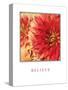 Believe Flowers-Maureen Love-Stretched Canvas