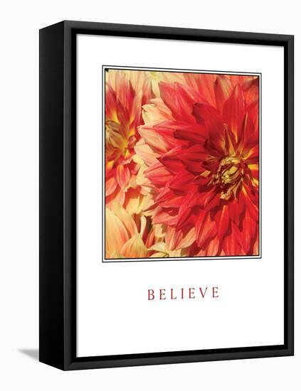 Believe Flowers-Maureen Love-Framed Stretched Canvas