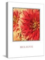 Believe Flowers-Maureen Love-Stretched Canvas