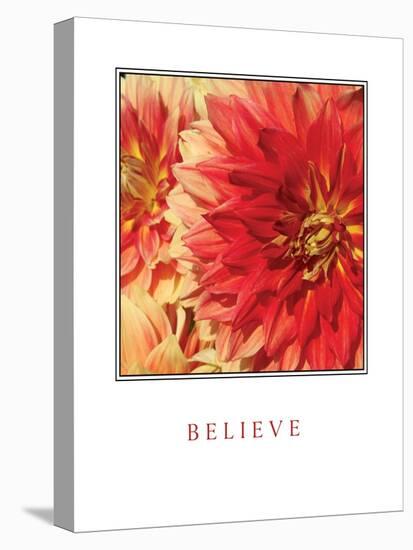 Believe Flowers-Maureen Love-Stretched Canvas