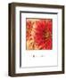 Believe Flowers-Maureen Love-Framed Premium Photographic Print