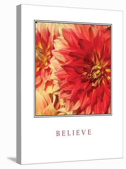 Believe Flowers-Maureen Love-Stretched Canvas