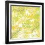 Believe Forrest Ferns-Bee Sturgis-Framed Art Print