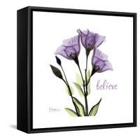 Believe Gentian-Albert Koetsier-Framed Stretched Canvas