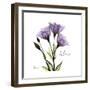 Believe Gentian-Albert Koetsier-Framed Premium Giclee Print