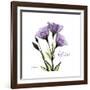 Believe Gentian-Albert Koetsier-Framed Premium Giclee Print