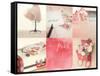 Believe in Pink-Mandy Lynne-Framed Stretched Canvas