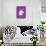 Believe in Unicorns on Purple-Heather Rosas-Stretched Canvas displayed on a wall