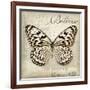 Believe in Yourself-Amy Melious-Framed Art Print