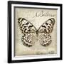 Believe in Yourself-Amy Melious-Framed Art Print