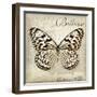 Believe in Yourself-Amy Melious-Framed Art Print