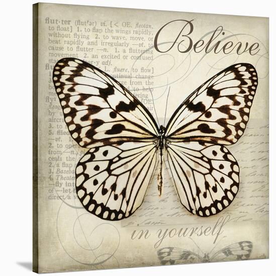 Believe in Yourself-Amy Melious-Stretched Canvas