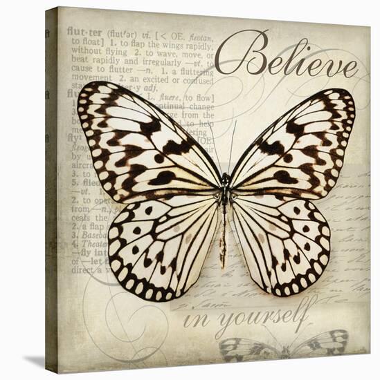 Believe in Yourself-Amy Melious-Stretched Canvas