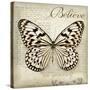 Believe in Yourself-Amy Melious-Stretched Canvas