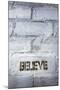 Believe Word-Yury Zap-Mounted Photographic Print