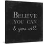 Believe You Can and You Will-Evangeline Taylor-Stretched Canvas