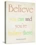 Believe You Can-Sylvia Coomes-Stretched Canvas