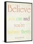 Believe You Can-Sylvia Coomes-Framed Stretched Canvas