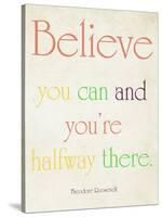 Believe You Can-Sylvia Coomes-Stretched Canvas