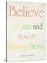 Believe You Can-Sylvia Coomes-Stretched Canvas