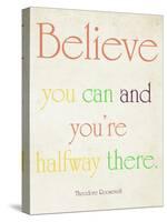 Believe You Can-Sylvia Coomes-Stretched Canvas