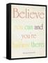 Believe You Can-Sylvia Coomes-Framed Stretched Canvas