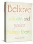 Believe You Can-Sylvia Coomes-Stretched Canvas