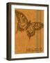 Believe-Ricki Mountain-Framed Art Print