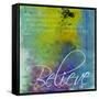 Believe-Jace Grey-Framed Stretched Canvas