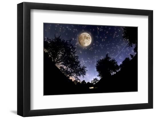 Premium Photographic Print, , large