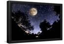Essential Black