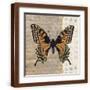 Brown Frame