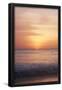 Essential Black