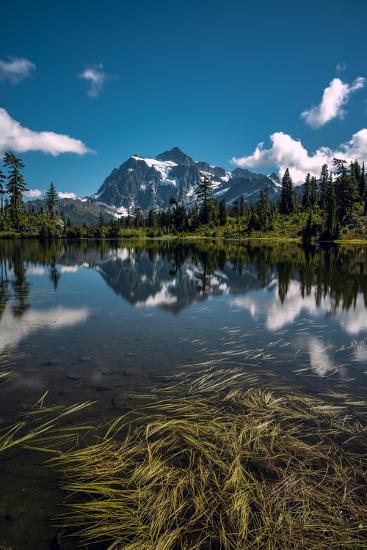 Photographic Print, , large