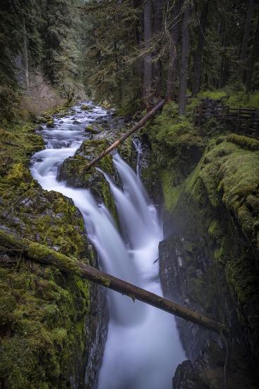 Premium Photographic Print, , large
