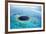 Belize Aerial of Belize Blue Hole-null-Framed Photographic Print