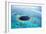 Belize Aerial of Belize Blue Hole-null-Framed Photographic Print