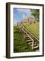 Belize, Altun Ha. Mayan Archeological Site. Steps to the Top of Ruins-Cindy Miller Hopkins-Framed Photographic Print