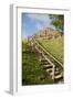 Belize, Altun Ha. Mayan Archeological Site. Steps to the Top of Ruins-Cindy Miller Hopkins-Framed Photographic Print
