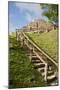 Belize, Altun Ha. Mayan Archeological Site. Steps to the Top of Ruins-Cindy Miller Hopkins-Mounted Photographic Print