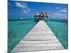 Belize, Ambergris Caye, San Pedro, Ramons Village Resort Pier and Palapa-Jane Sweeney-Mounted Photographic Print