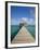 Belize, Ambergris Caye, San Pedro, Ramons Village Resort Pier and Palapa-Jane Sweeney-Framed Photographic Print