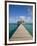 Belize, Ambergris Caye, San Pedro, Ramons Village Resort Pier and Palapa-Jane Sweeney-Framed Photographic Print