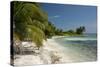 Belize, Caribbean Sea, Stann Creek District. Laughing Bird Caye-Cindy Miller Hopkins-Stretched Canvas