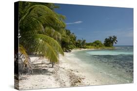 Belize, Caribbean Sea, Stann Creek District. Laughing Bird Caye-Cindy Miller Hopkins-Stretched Canvas