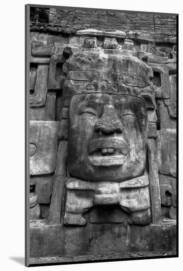 Belize, Central America. Mayan Temple Ruin. Mask Temple. Lamanai. Dated from AD 625.-Tom Norring-Mounted Photographic Print