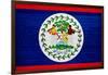 Belize Flag Design with Wood Patterning - Flags of the World Series-Philippe Hugonnard-Framed Art Print