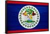 Belize Flag Design with Wood Patterning - Flags of the World Series-Philippe Hugonnard-Framed Stretched Canvas