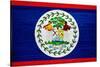 Belize Flag Design with Wood Patterning - Flags of the World Series-Philippe Hugonnard-Stretched Canvas