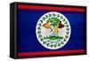 Belize Flag Design with Wood Patterning - Flags of the World Series-Philippe Hugonnard-Framed Stretched Canvas